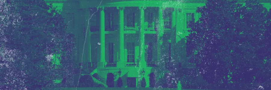 White House with a green texture